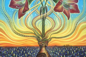 Spring Equinox Gateway – Central Sun Collective