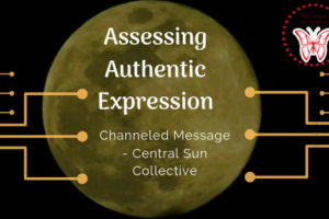 Assessing Authentic Expression – Central Sun Collective