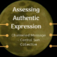 Assessing Authentic Expression – Central Sun Collective