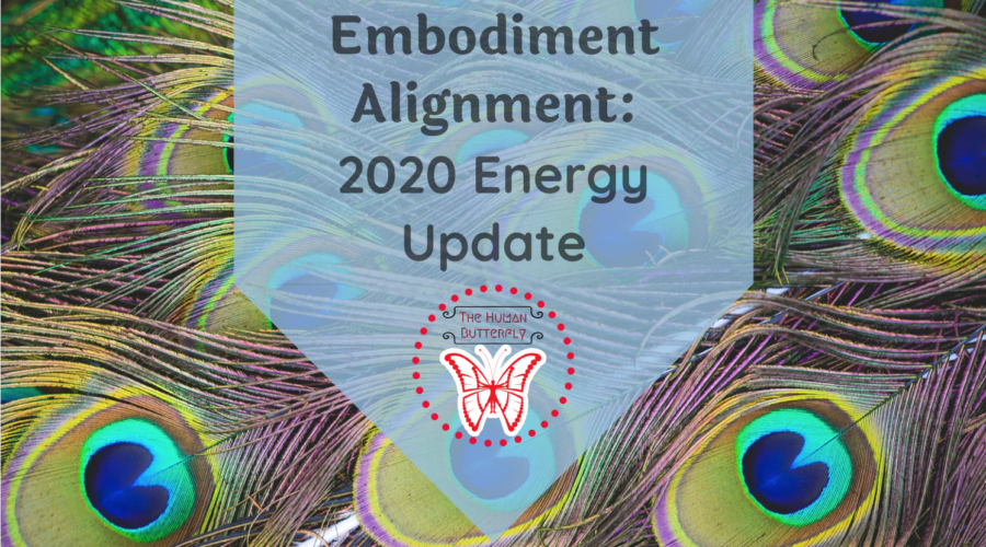 Embodiment Alignment: 2020 Energy Update