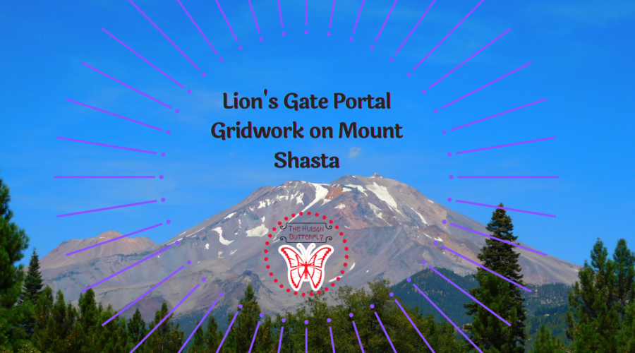 Lion’s Gate Portal Gridwork on Mount Shasta